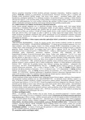 Mėsos skerdimas 4 puslapis