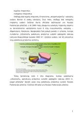 Nelegalios migracijos grėsmės bei jų prevencija 2 puslapis