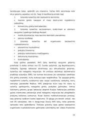 Nelegalios migracijos grėsmės bei jų prevencija 15 puslapis