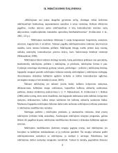 Mikčiojimas ir jo šalinimas. Korekcinis darbas su mikčiojančiais vaikais 7 puslapis