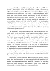 Filmo analizė: "Beldžiant į dangaus vartus" 6 puslapis