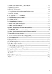 Automobilių remonto baro rekonstrukcija: UAB "Dizrida" 2 puslapis