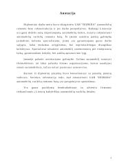 Automobilių remonto baro rekonstrukcija: UAB "Dizrida" 3 puslapis