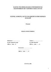 Fizinių asmenų kreditavimo rinkos Lietuvoje analizė 2 puslapis