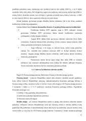 Fizinių asmenų kreditavimo rinkos Lietuvoje analizė 12 puslapis