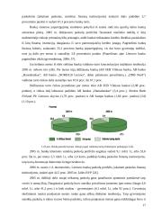Fizinių asmenų kreditavimo rinkos Lietuvoje analizė 17 puslapis