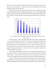 Fizinių asmenų kreditavimo rinkos Lietuvoje analizė 19 puslapis