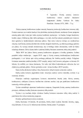 Fizinių asmenų kreditavimo rinkos Lietuvoje analizė 3 puslapis