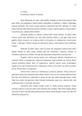 Įmonės veiklos planavimas: prekyba suskystintomis dujomis 17 puslapis