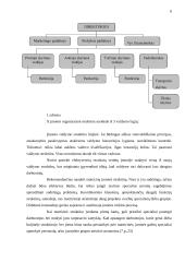 Įmonės veiklos planavimas: prekyba suskystintomis dujomis 6 puslapis
