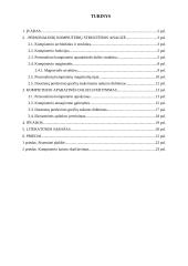 Kompiuterio struktūra