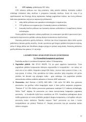 Kompiuterio struktūra 13 puslapis