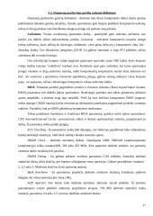 Kompiuterio struktūra 17 puslapis