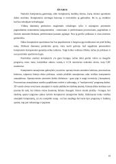 Kompiuterio struktūra 19 puslapis