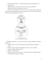 Kompiuterio struktūra 4 puslapis