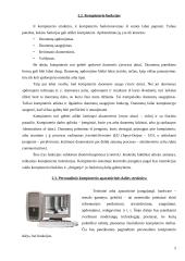 Kompiuterio struktūra 5 puslapis