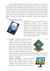 Kompiuterio struktūra 6 puslapis