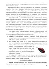 Kompiuterio struktūra 8 puslapis