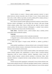 Lietuvos užsienio prekyba: raida ir struktūra 2 puslapis