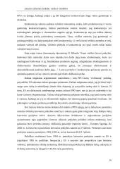 Lietuvos užsienio prekyba: raida ir struktūra 16 puslapis