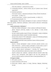 Lietuvos užsienio prekyba: raida ir struktūra 19 puslapis