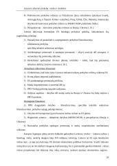 Lietuvos užsienio prekyba: raida ir struktūra 20 puslapis