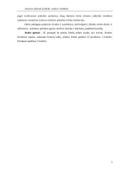 Lietuvos užsienio prekyba: raida ir struktūra 3 puslapis