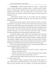 Lietuvos užsienio prekyba: raida ir struktūra 7 puslapis