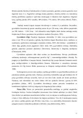 Migruojančių per Lietuvą paukščių rūšių (rudenio srauto) spontaninio mutabilumo tyrimai 11 puslapis