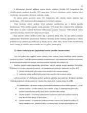 Valiutinių ateities sandorių analizė 12 puslapis