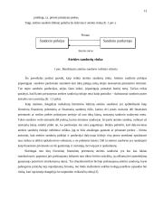 Valiutinių ateities sandorių analizė 13 puslapis