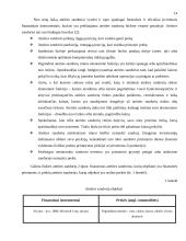 Valiutinių ateities sandorių analizė 14 puslapis