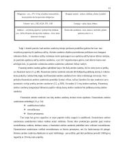 Valiutinių ateities sandorių analizė 15 puslapis