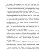 Valiutinių ateities sandorių analizė 16 puslapis