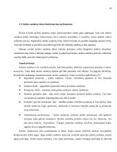 Valiutinių ateities sandorių analizė 18 puslapis