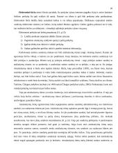 Valiutinių ateities sandorių analizė 20 puslapis