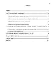 Valiutinių ateities sandorių analizė 4 puslapis