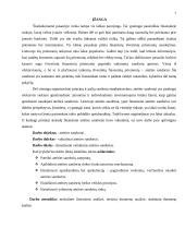 Valiutinių ateities sandorių analizė 7 puslapis