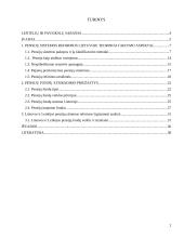 Viešojo sektoriaus reforma Lietuvoje: pensijų reforma 2 puslapis