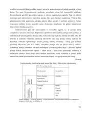 Viešojo sektoriaus reforma Lietuvoje: pensijų reforma 11 puslapis