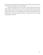 Viešojo sektoriaus reforma Lietuvoje: pensijų reforma 20 puslapis