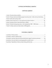 Viešojo sektoriaus reforma Lietuvoje: pensijų reforma 3 puslapis