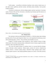 Viešojo sektoriaus reforma Lietuvoje: pensijų reforma 7 puslapis