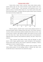 Darbų organizavimas: kelio tiesimas 11 puslapis