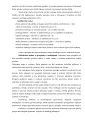 Darbų organizavimas: kelio tiesimas 15 puslapis