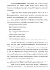 Darbų organizavimas: kelio tiesimas 16 puslapis