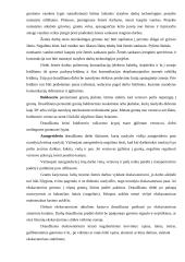 Darbų organizavimas: kelio tiesimas 17 puslapis