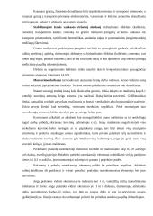 Darbų organizavimas: kelio tiesimas 18 puslapis