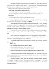 Darbų organizavimas: kelio tiesimas 19 puslapis