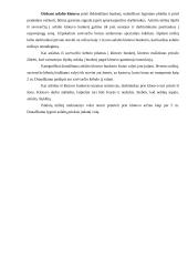 Darbų organizavimas: kelio tiesimas 20 puslapis